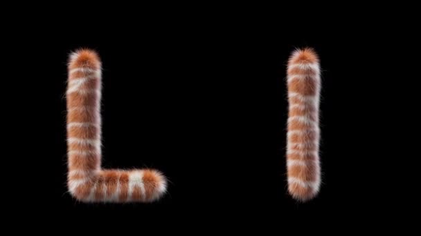 3D动画的大写字母和小写字母L羊毛风格的长颈鹿动物 该文件包含一个阿尔法通道 Prores4 Rgba — 图库视频影像