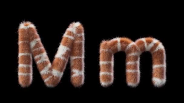 Анимация Прописной Нижней Шерстяной Буквы Wool Стиле Животного Жирафа Файл — стоковое видео