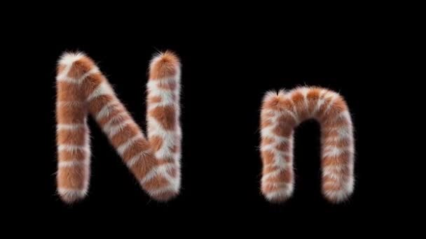 3D动画的大写字母和小写字母N Wool风格的长颈鹿动物 该文件包含一个阿尔法通道 Prores4 Rgba — 图库视频影像