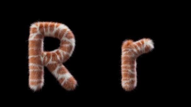 3D动画的大写字母和小写字母R Wool风格的长颈鹿动物 该文件包含一个阿尔法通道 Prores4 Rgba — 图库视频影像