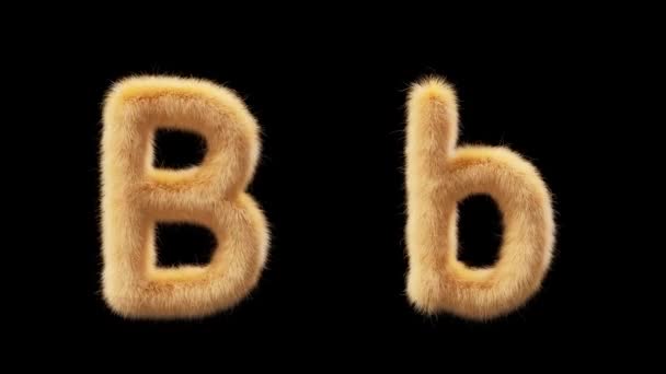 Animation Uppercase Lowercase Woolen Letter Wool Style Pet Chick File — Stock Video