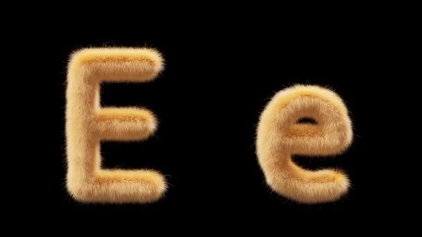 3D动画的大写字母和小写字母E羊毛风格的宠物奇克 该文件包含一个阿尔法通道 Prores4 Rgba — 图库视频影像