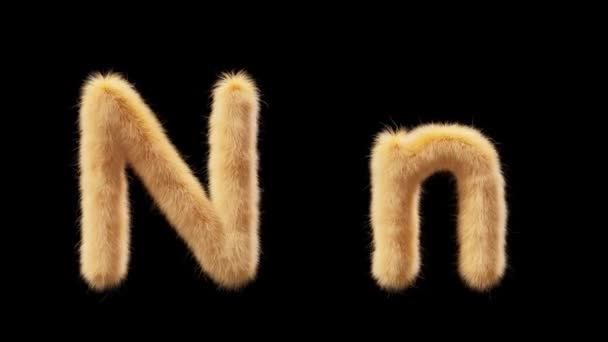 Animation Uppercase Lowercase Woolen Letter Wool Style Pet Chick File — Stock Video