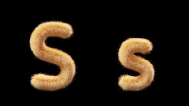 Animation Κεφαλαίο Και Πεζό Μάλλινο Γράμμα Wool Στο Στυλ Του — Αρχείο Βίντεο