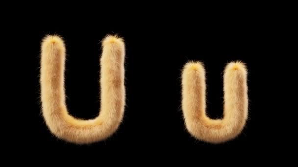 大写字母U 和小写字母U 的3D动画羊毛风格的宠物奇克 该文件包含一个阿尔法通道 Prores4 Rgba — 图库视频影像