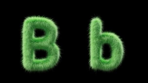 大写字母B和小写字母B的3D动画用田草的风格签名 该文件包含一个阿尔法通道 Prores4 Rgba — 图库视频影像