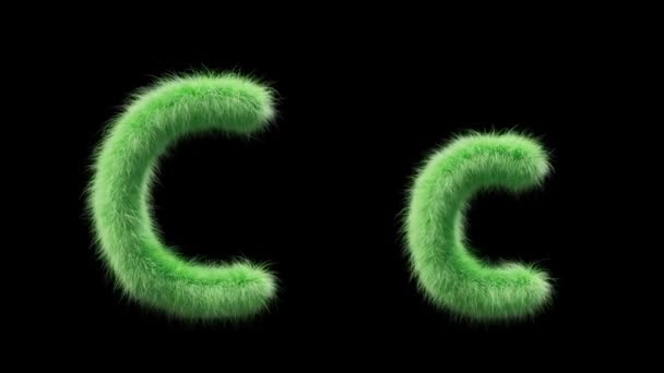 Animation Une Lettre Herbeuse Majuscule Minuscule Connecter Dans Style Herbe — Video