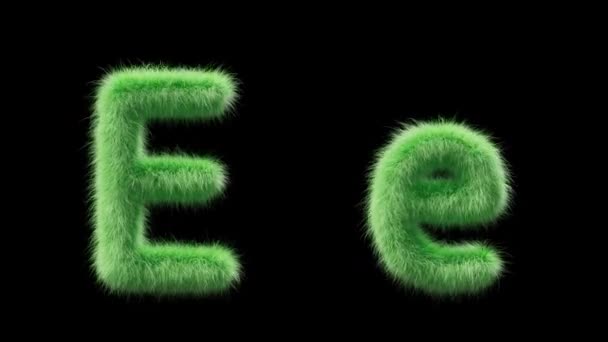 一个大写字母E和小写字母E的3D动画 以野草的风格签名 该文件包含一个阿尔法通道 Prores4 Rgba — 图库视频影像