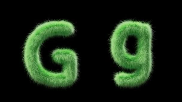 Animation Uppercase Lowercase Grassy Letter Sign Style Field Grass File — Stock Video