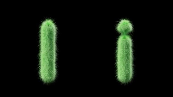 Animation Une Lettre Herbeuse Majuscule Minuscule Signez Dans Style Herbe — Video