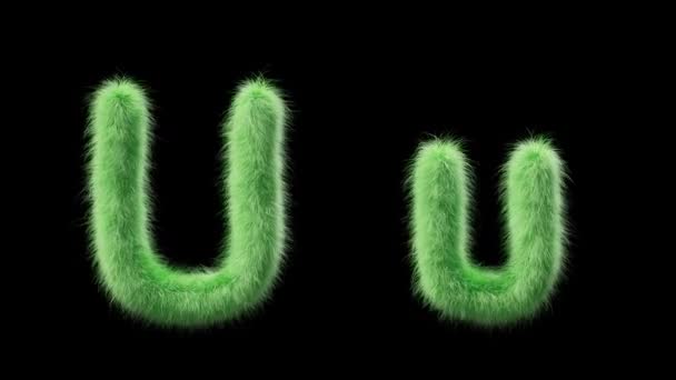 大写字母U 和小写字母U 的3D动画用田草的风格签名 该文件包含一个阿尔法通道 Prores4 Rgba — 图库视频影像