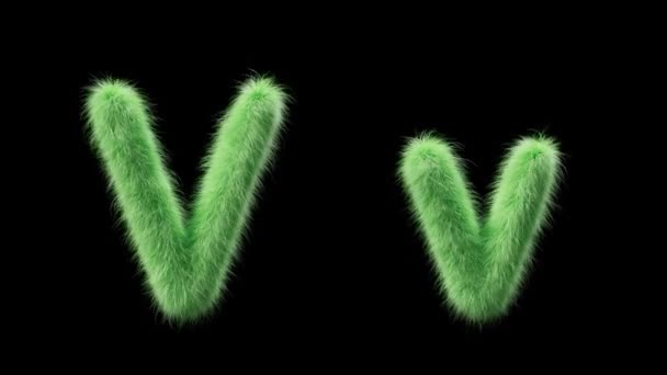 Animation Uppercase Lowercase Grassy Letter Sign Style Field Grass File — Stock Video