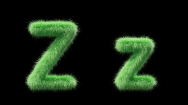 大写字母Z和小写字母Z的3D动画用田草的风格签名 该文件包含一个阿尔法通道 Prores4 Rgba — 图库视频影像