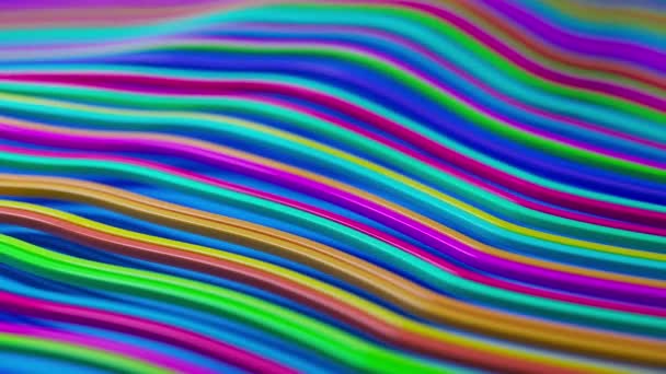 Abstract Animation Colorful Lines Form Waves White Geometric Shapes Deform — Stockvideo