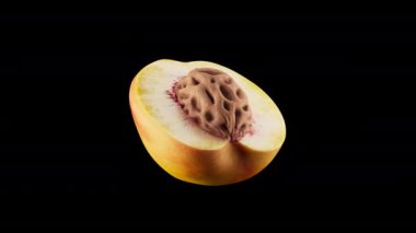 Çukurlu yarım şeftali döngüsü. Şeftali yavaşça 360 derece döner. Dosya Alfa Kanalı içeriyor.