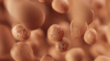 Bir grup hindistan cevizi animasyonu. Birçok hindistan cevizi uzayda yavaşça döner. Yatay bileşim. Defoktus. Yakın plan..