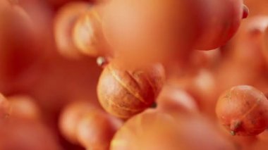 Bir grup balkabağı animasyonu. Birçok balkabağı uzayda arka planda yavaşça döner. Yatay bileşim. Defoktus. Yakın plan. Döngü.