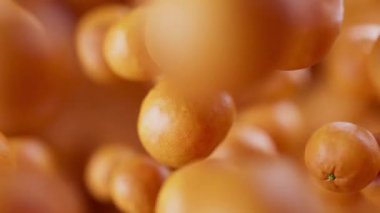 Bir grup Mandarin 'in animasyonu. Birçok mandalina uzayda arka planda yavaşça döner. Yatay bileşim. Defoktus. Yakın plan. Döngü.