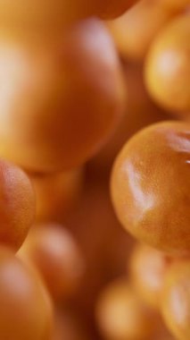 Bir grup Mandarin 'in canlandırması. Birçok mandalina uzayda arka planda yavaşça döner. Dikey kompozisyon. Defoktus. Yakın plan..