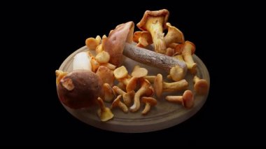 Tahta bir tahtanın üzerinde duran mantar kompozisyonu etrafında döngü çiziyor. Döngü hareketi. Alfa Kanalı. Yakın plan..