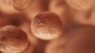 Bir grup hindistan cevizi animasyonu. Birçok hindistan cevizi uzayda yavaşça döner. Yatay bileşim. Defoktus. Yakın plan..