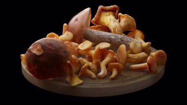 Tahta bir tahtanın üzerinde duran mantar kompozisyonu etrafında döngü çiziyor. Döngü hareketi. Alfa Kanalı. Yakın plan..