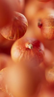 Bir grup balkabağı animasyonu. Birçok balkabağı uzayda arka planda yavaşça döner. Dikey kompozisyon. Defoktus. Yakın plan..