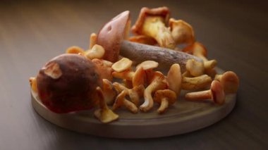 Tahta bir tahtanın üzerinde duran mantar kompozisyonu etrafında döngü çiziyor. Döngü hareketi. Defoktus. Yakın plan..