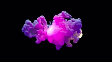 Renkli, fantastik bir patlama bir renk bulutu oluşturur. Alpha Channel 'dan. Parlak ve renkli sarı, yeşil, mor, mavi renkler boşluğu yavaşça dolduruyor..