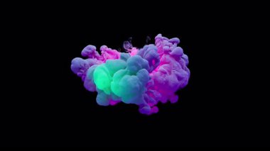 Renkli, fantastik bir patlama bir renk bulutu oluşturur. Alpha Channel 'dan. Parlak ve renkli sarı, yeşil, mor, mavi renkler boşluğu yavaşça dolduruyor..