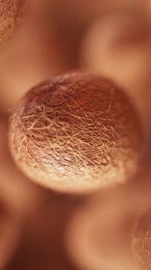 Bir grup hindistan cevizi animasyonu. Birçok hindistan cevizi uzayda yavaşça döner. Dikey kompozisyon. Defoktus. Yakın plan..