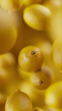 Bir grup limonun animasyonu. Birçok limon uzayda arka planda yavaşça döner. Dikey kompozisyon. Defoktus. Yakın plan..