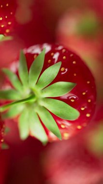 Çilek grubunun animasyonu. Birçok çilek uzayda arka planda yavaşça döner. Dikey kompozisyon. Defoktus. Yakın plan..