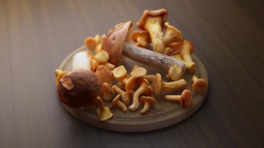 Tahta bir tahtanın üzerinde duran mantar kompozisyonu etrafında döngü çiziyor. Döngü hareketi. Defoktus. Yakın plan..