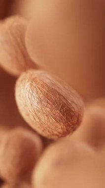 Bir grup hindistan cevizi animasyonu. Birçok hindistan cevizi uzayda yavaşça döner. Dikey kompozisyon. Defoktus. Yakın plan. Döngü.