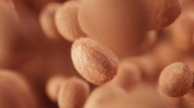 Bir grup hindistan cevizi animasyonu. Birçok hindistan cevizi uzayda yavaşça döner. Yatay bileşim. Defoktus. Yakın plan. Döngü.