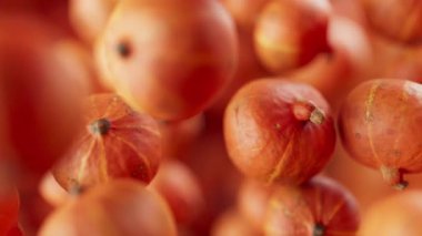 Bir grup balkabağı animasyonu. Birçok balkabağı uzayda arka planda yavaşça döner. Yatay bileşim. Defoktus. Yakın plan..