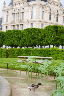 Baharda Paris Kasabası