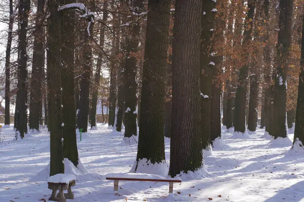 Kalede Hrochuv Tynec Winter