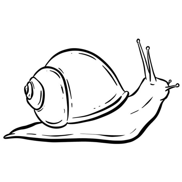 Line Art Outline Garden Snail Shell Logo Mascot Design Vector — стоковий вектор