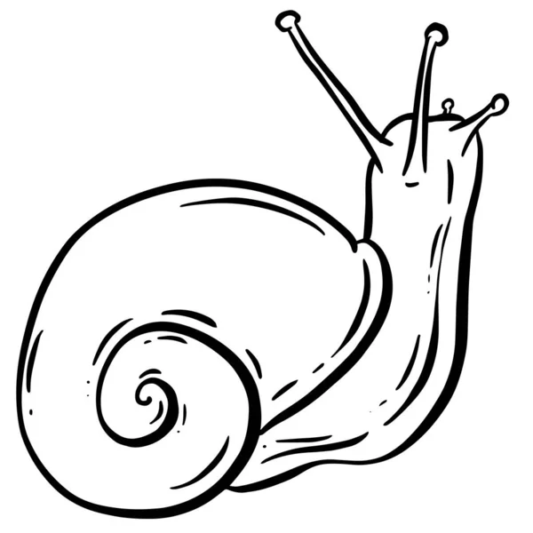 Line Art Outline Garden Snail Shell Logo Mascot Design Vector - Stok Vektor