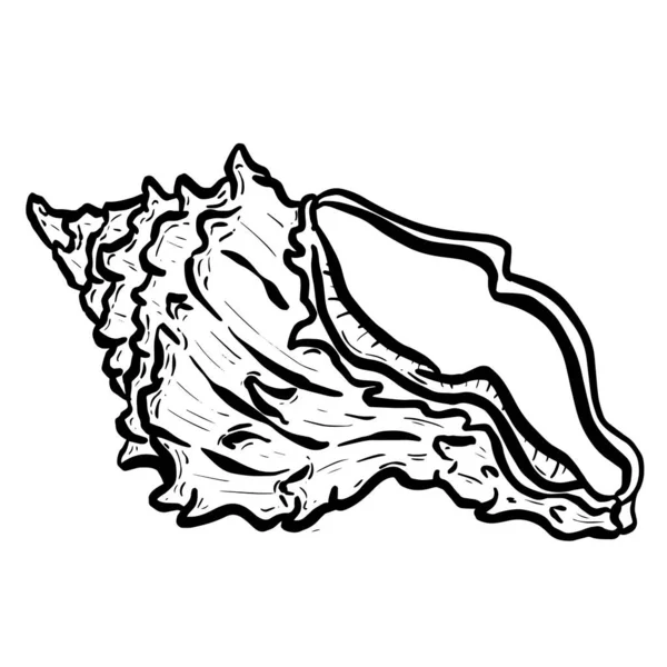 Conch Sea Snail Shell Outline Cartoon Style Logo Design Vector — стоковий вектор