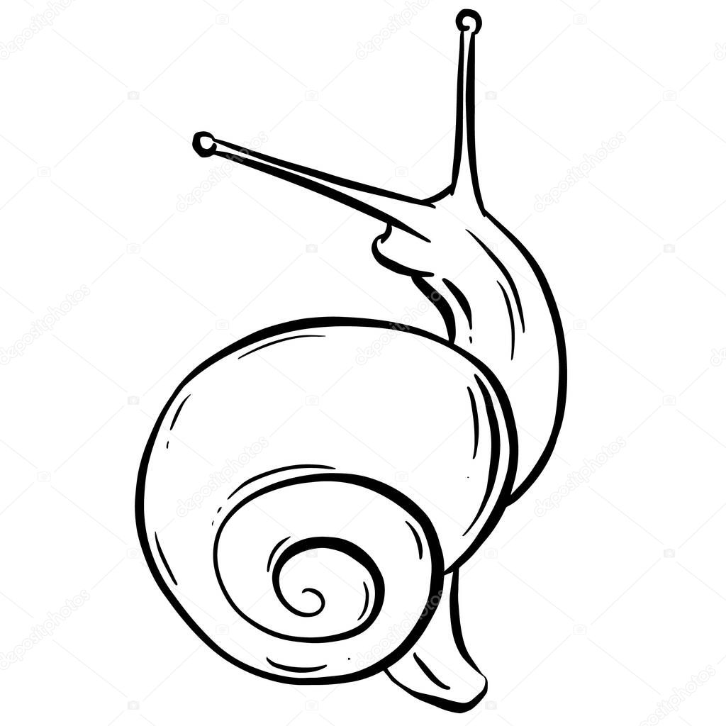 Line Art Outline of a Garden Snail with Shell for Logo or Mascot Design in Vector Illustration