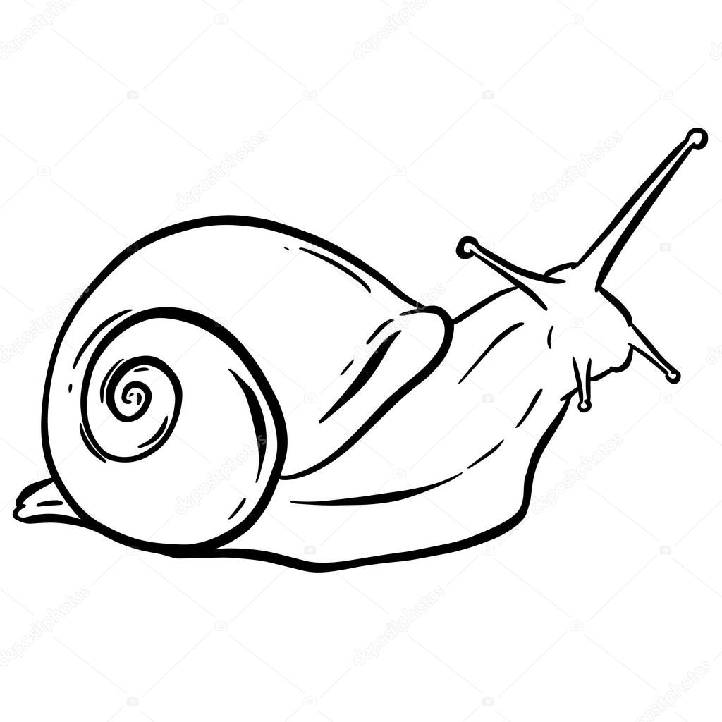 Line Art Outline of a Garden Snail with Shell for Logo or Mascot Design in Vector Illustration