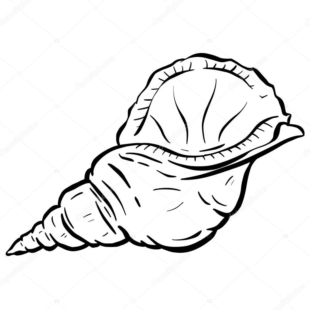 Conch Sea Snail Shell Outline Cartoon Style Logo Design in Vector