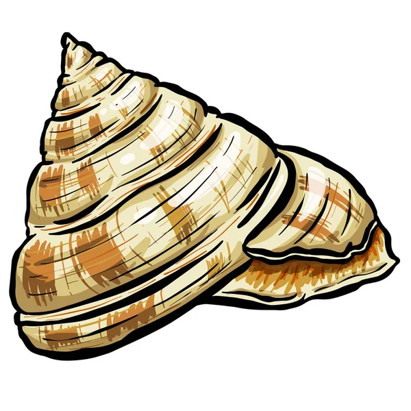 Desain Logo Gaya Kartun Outline Shell Snail Shell Laut Dalam - Stok Vektor