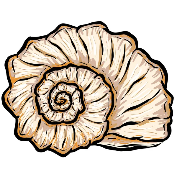 Conch Sea Snail Shell Outline Cartoon Style Logo Design Vector — стоковий вектор