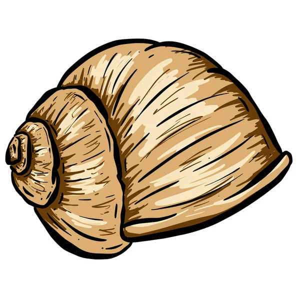 Concha Sea Snail Shell Esquema Dibujos Animados Estilo Logo Diseño — Archivo Imágenes Vectoriales