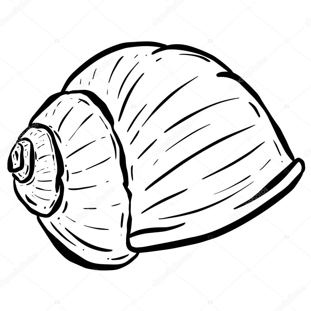 Conch Sea Snail Shell Outline Cartoon Style Logo Design in Vector