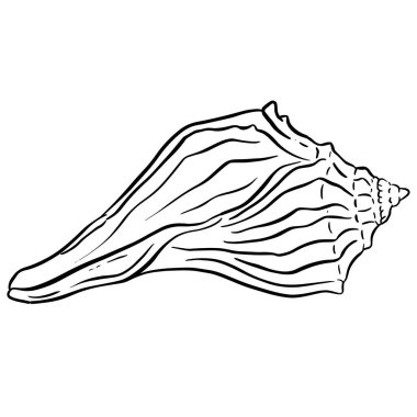 Şeytanminaresi Deniz Salyangozu Kabuğu Çizgi Film Stili Logo Tasarımı VektörüName